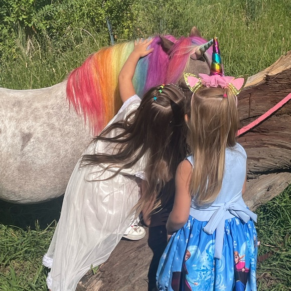 Meet your Posher, Posh - Picture 6 of 9